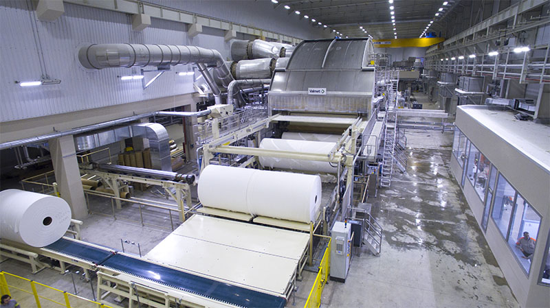 Paper & Pulp