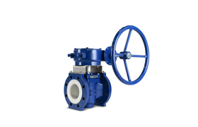 Teflon Lined Plug