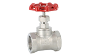 Globe Valve