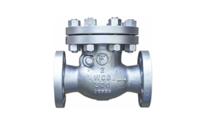 Swing Check Valve